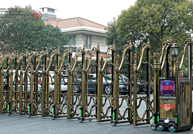 中华6号